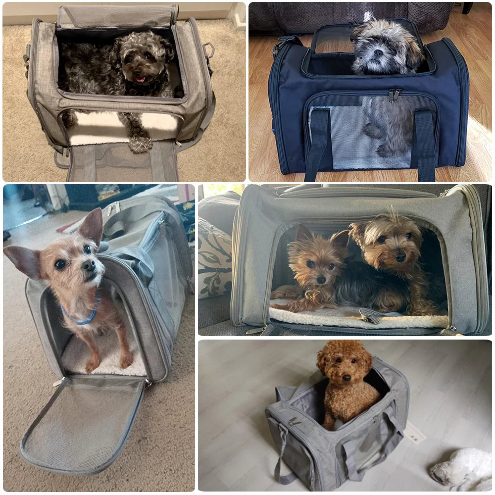 Dog Carrier Bag Soft Side Backpack Cat